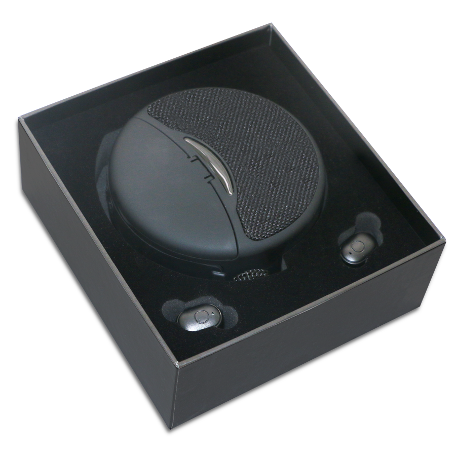 haut parleur et earbuds